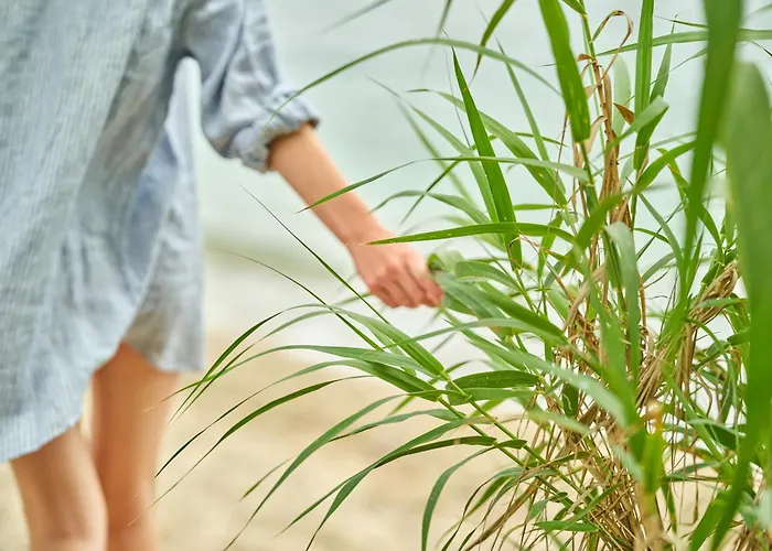 Avali, Mar-bella Collection Resort Agios Ioannis Peristerion