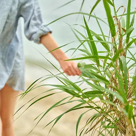 Avali, Mar-bella Collection אתר נופש אגיוס יואניס פריסטרון