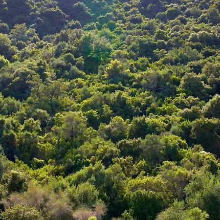 Avali, Mar-bella Collection